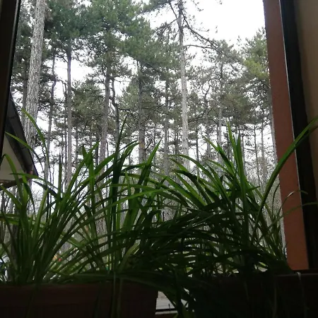 度假村 Les 3*